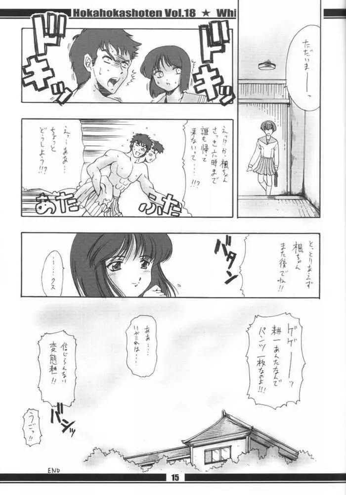 HokaHokaShoten vol.18 - White Party - page16