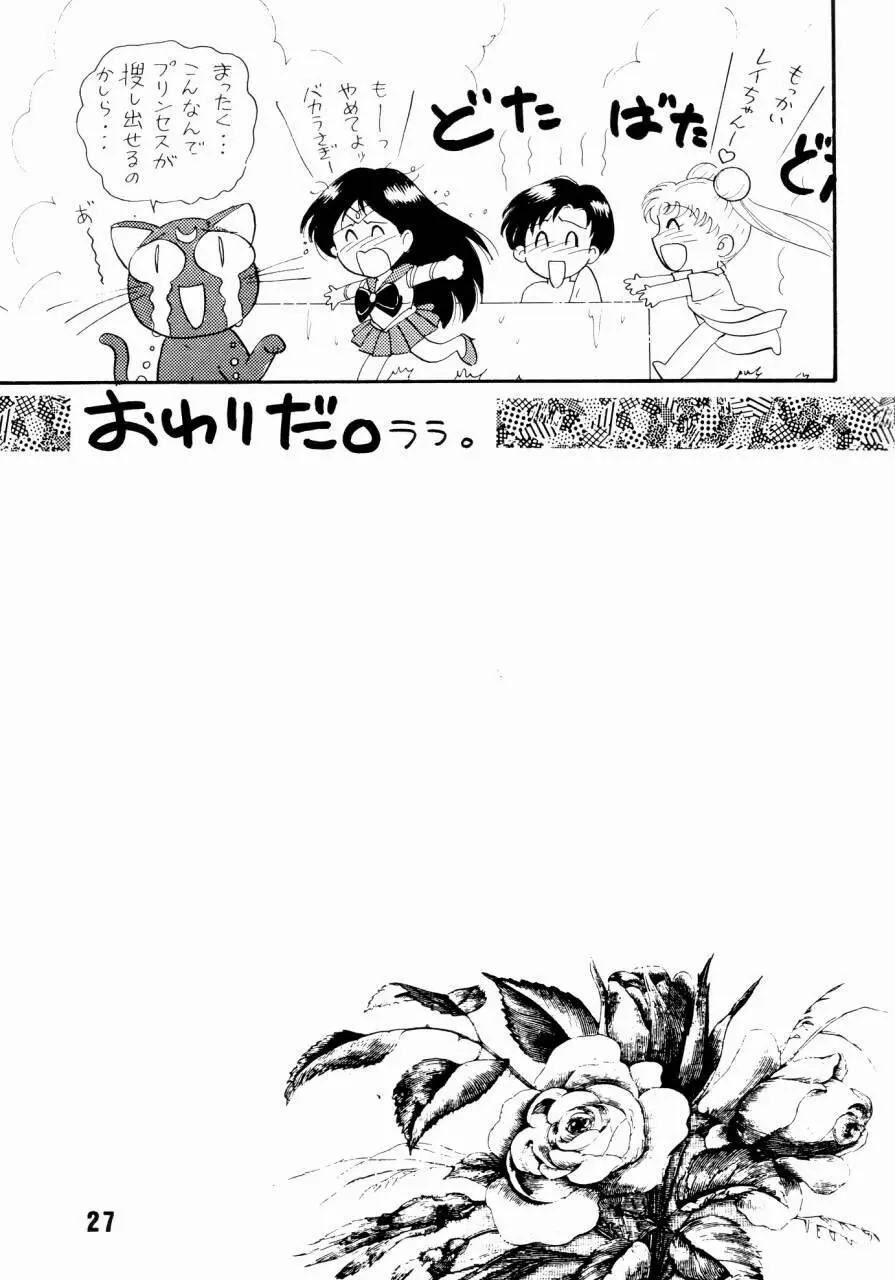 セーラームーン人生 - page26