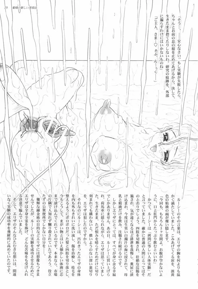 姫様の新しい美容法 下巻 - page32