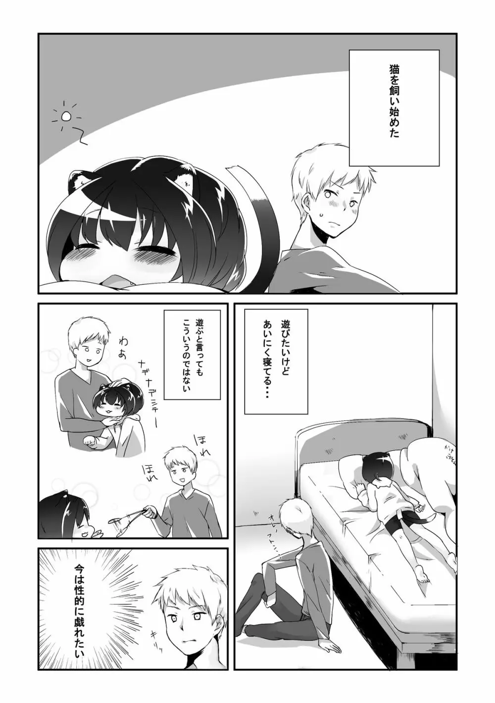 猫耳ショタとあれやこれやする本 - page2