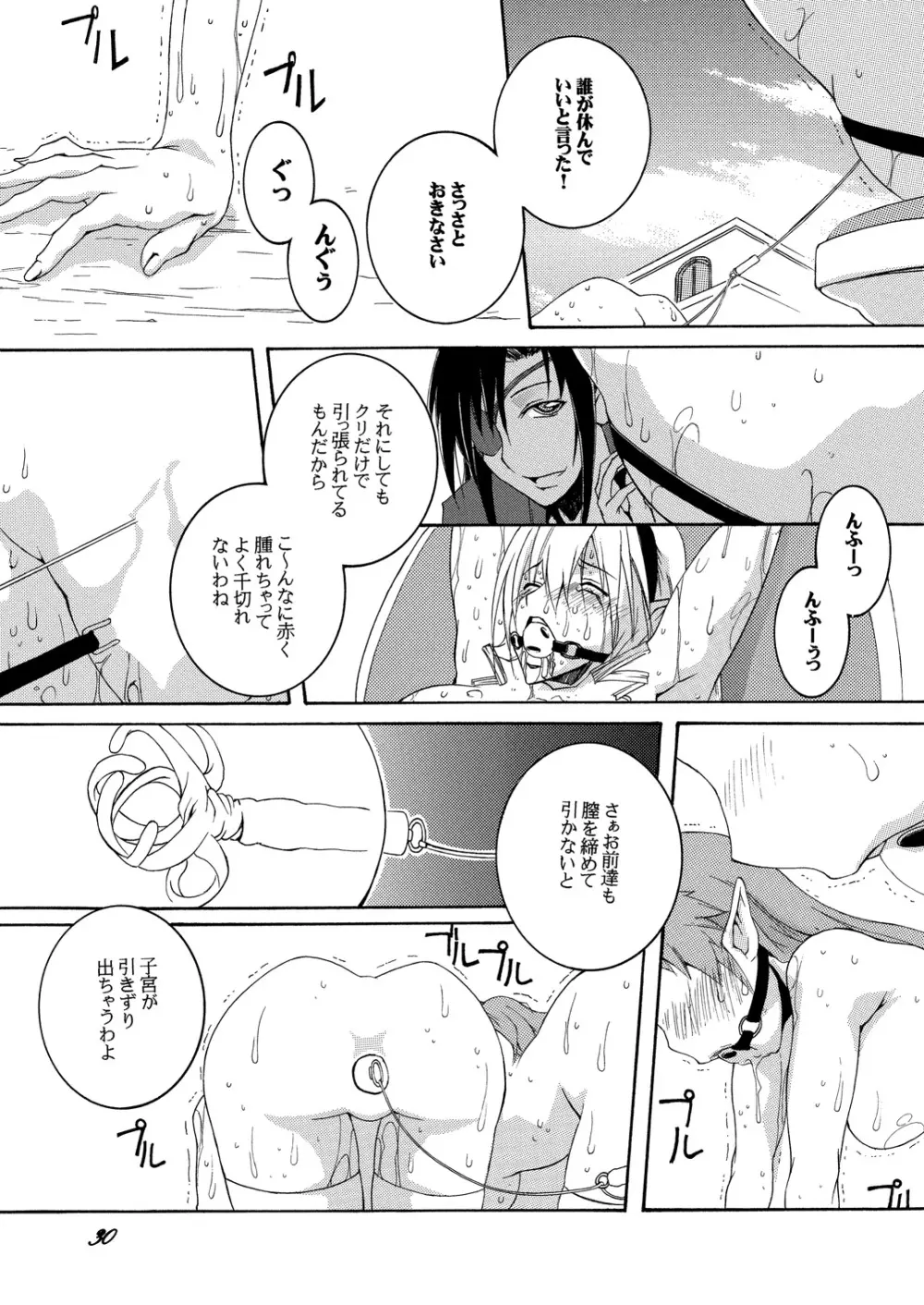 奴隷騎士スティア I - page29