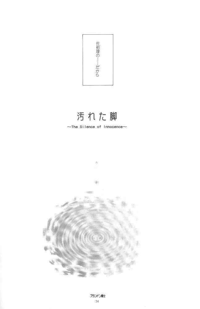 鳥籠の宇宙 - page31