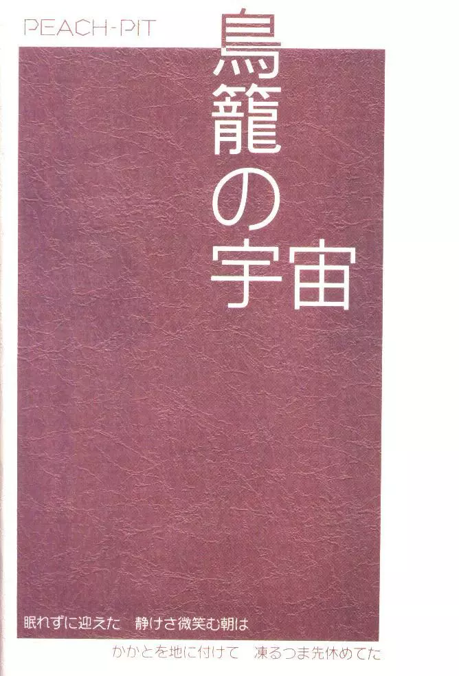 鳥籠の宇宙 - page62