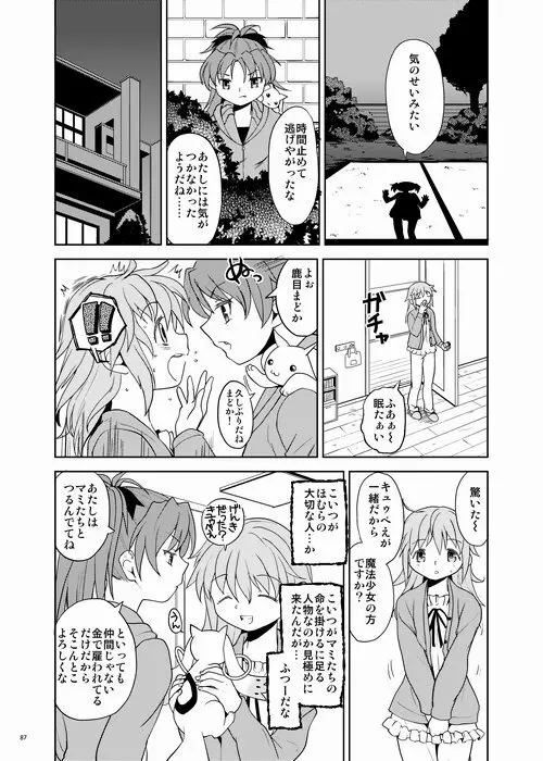 続・過酷少女絵録 - page87