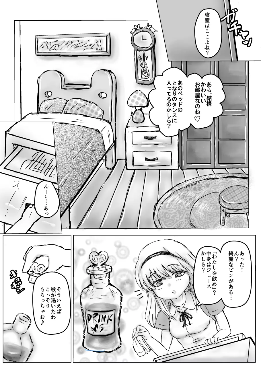 ふたなりアリスと白兎お兄さんのある昼下がりの出来事 - page4