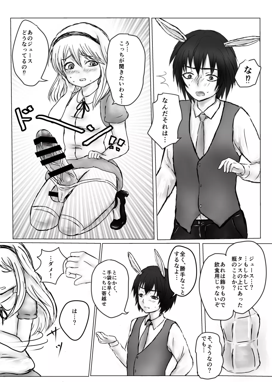 ふたなりアリスと白兎お兄さんのある昼下がりの出来事 - page6