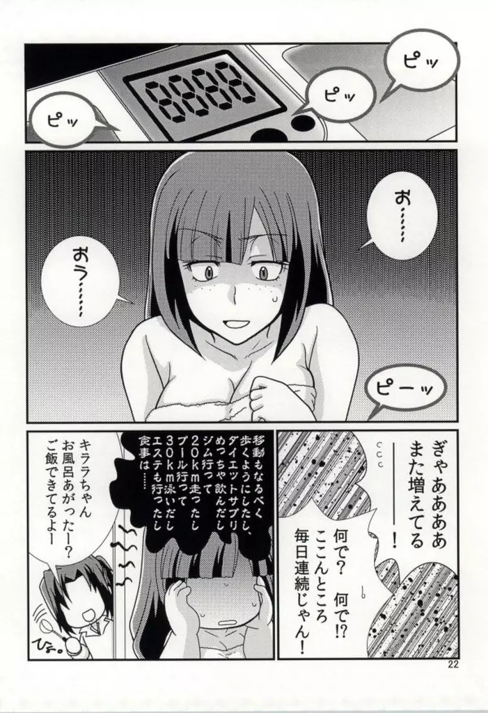 FKダークマターブースター - page21