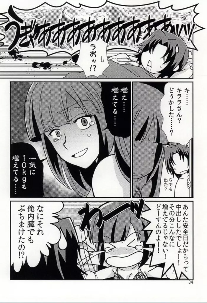 FKダークマターブースター - page33