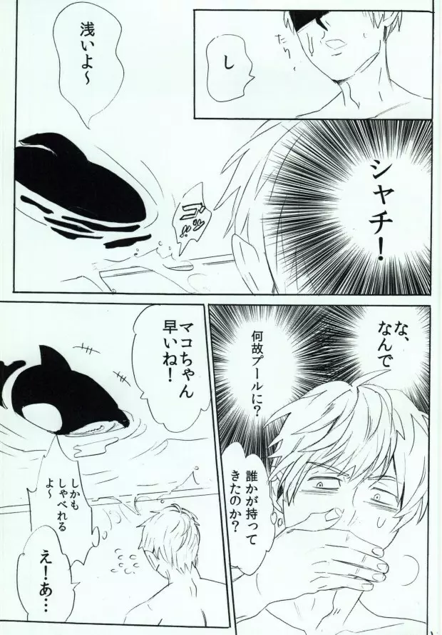 シャチまこ! - page6