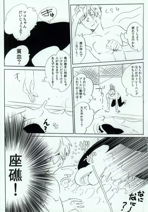 シャチまこ! - page7