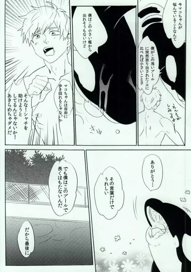 シャチまこ! - page9