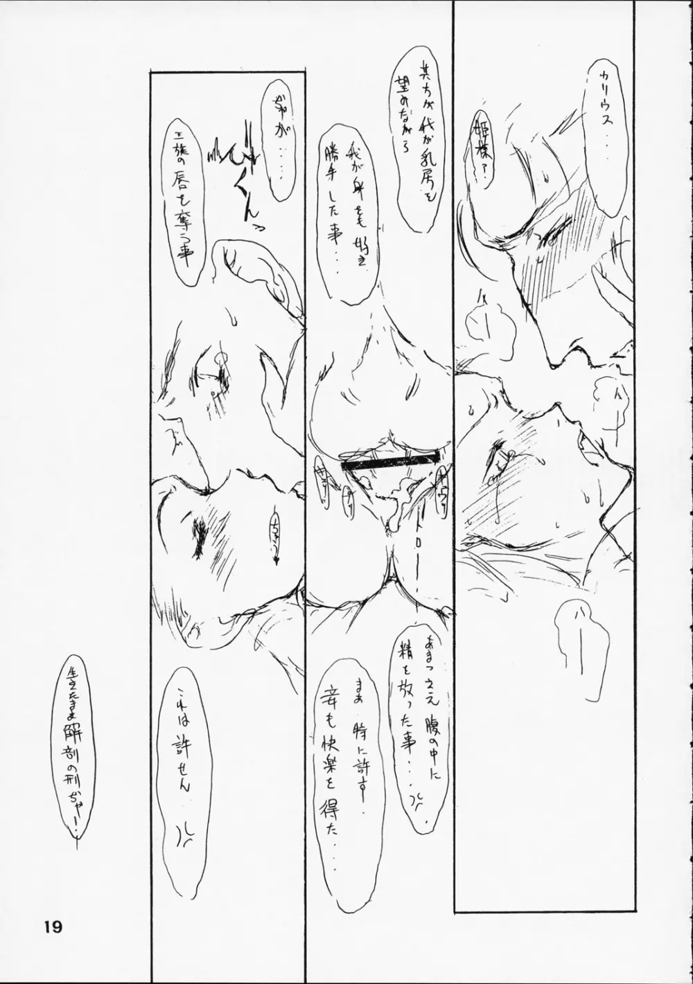 第ー王女近衛師団 5.5 - page18