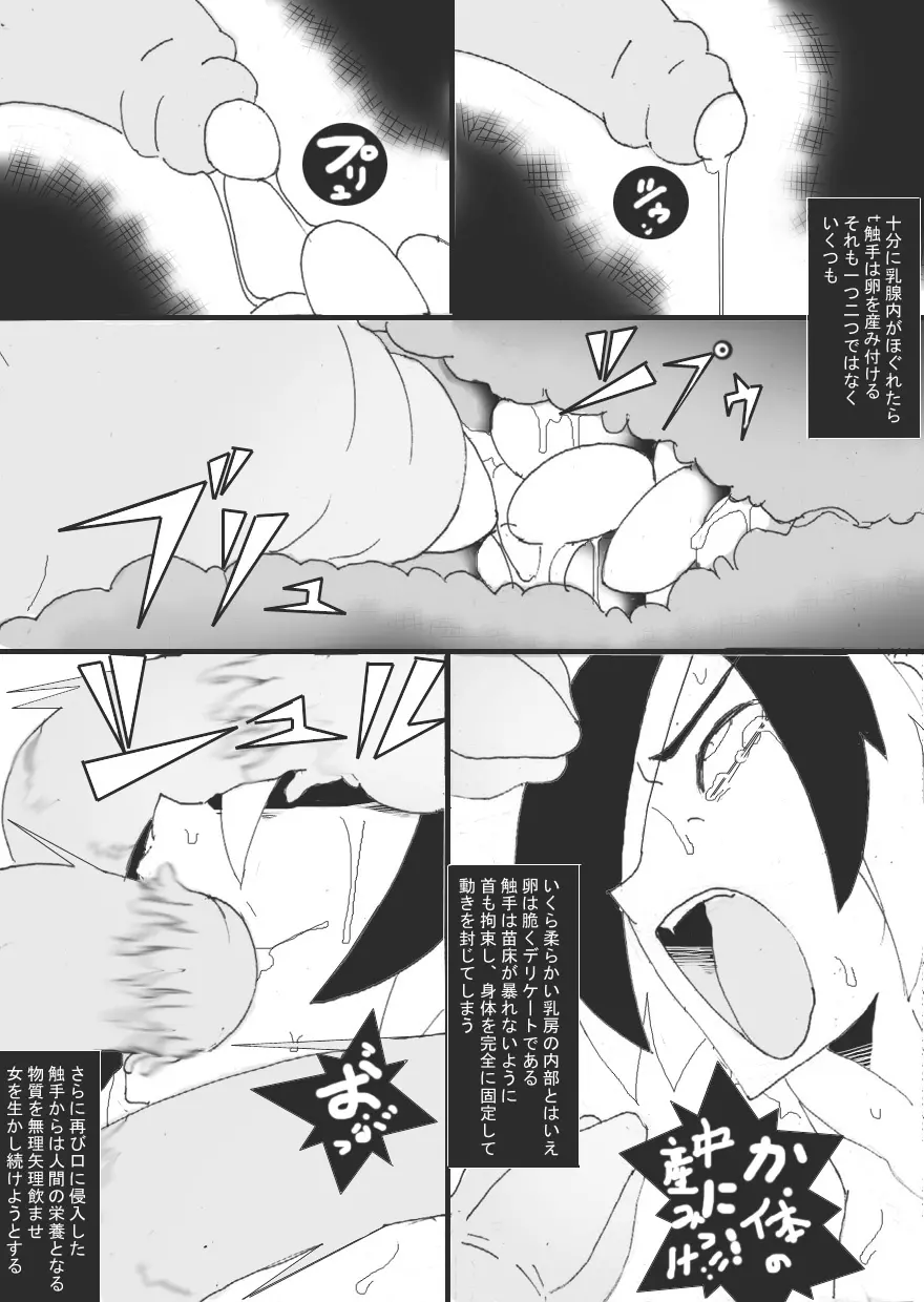 苗床 - page17