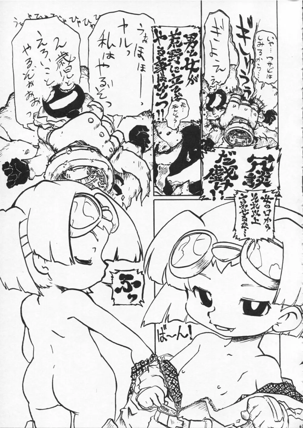 つるぺた研究報告書009 - page43