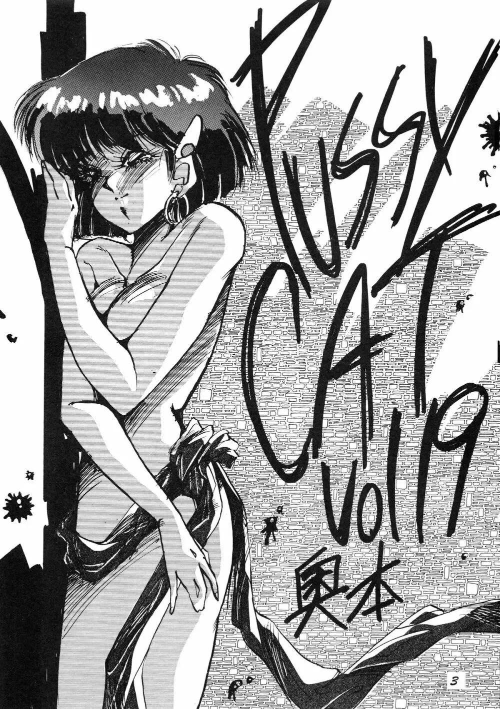 PUSSY･CAT Vol.19 ナディア本2 - page4