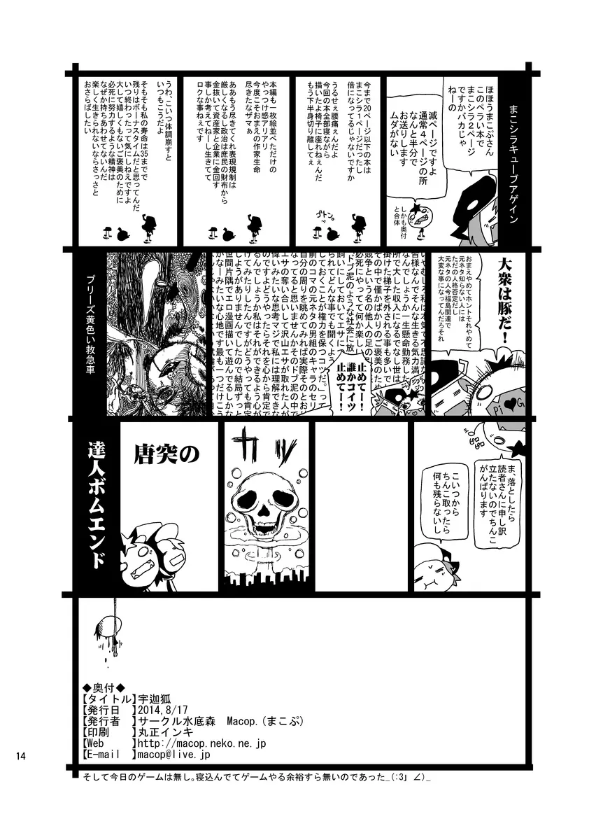 宇迦狐 - page14