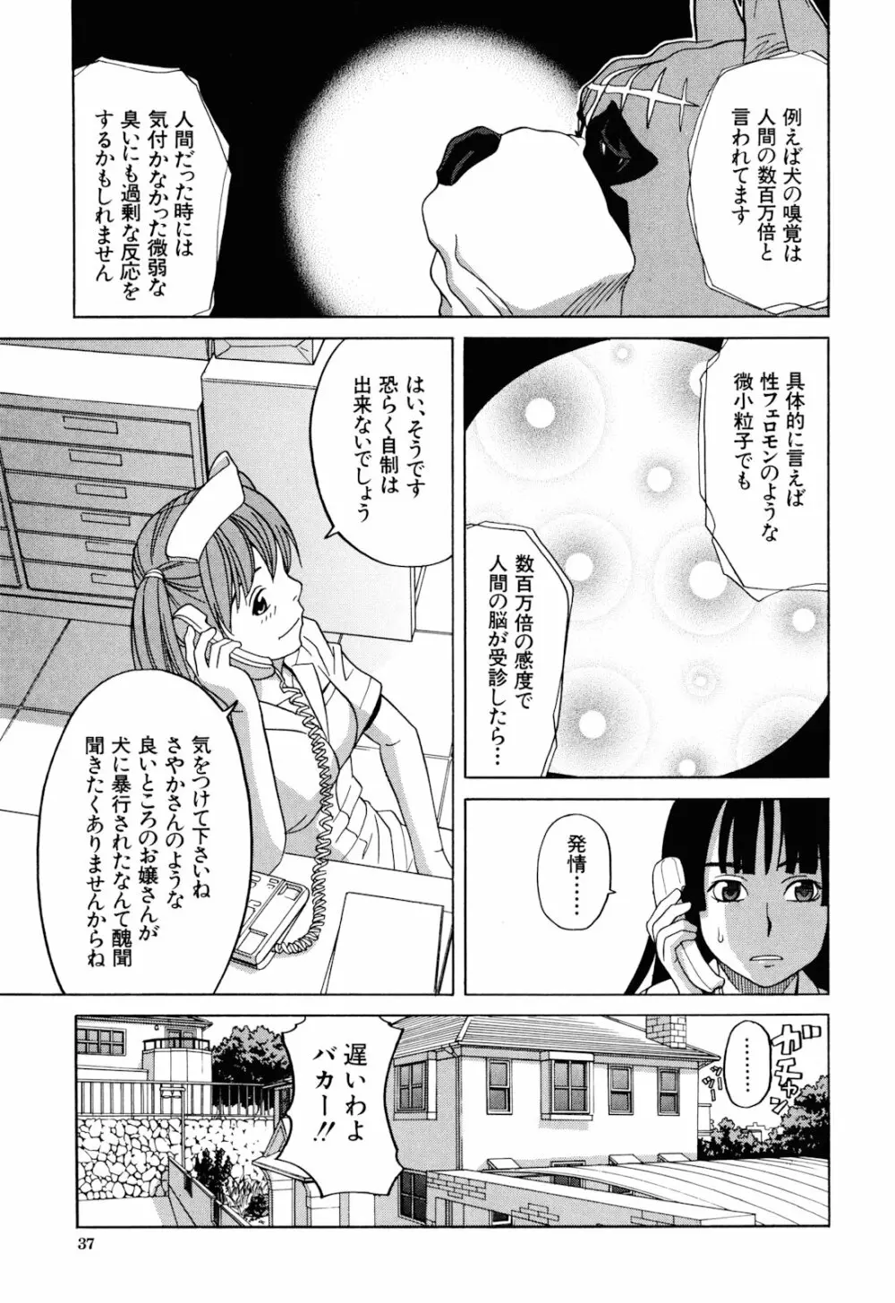 おｋ - page37