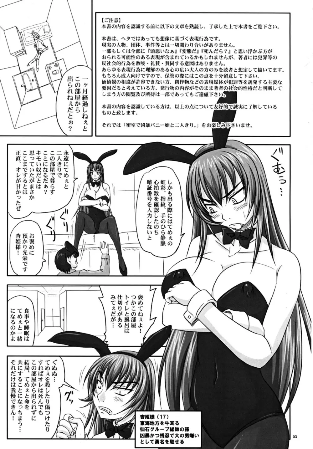 密室で凶暴バニー姫と二人きり。 - page2