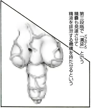 CORRUPT&ROTTENキューティリディの腐肉のアンドゥイユ「その三」 - page23