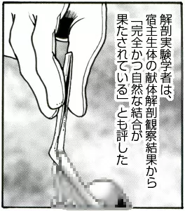 CORRUPT&ROTTENキューティリディの腐肉のアンドゥイユ「その三」 - page24