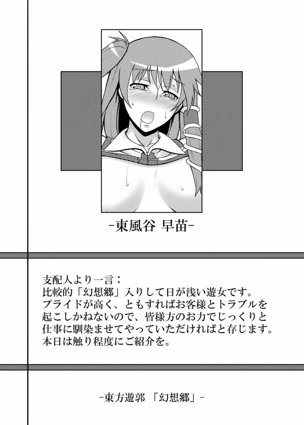 東方projectの本 総集編 - page31