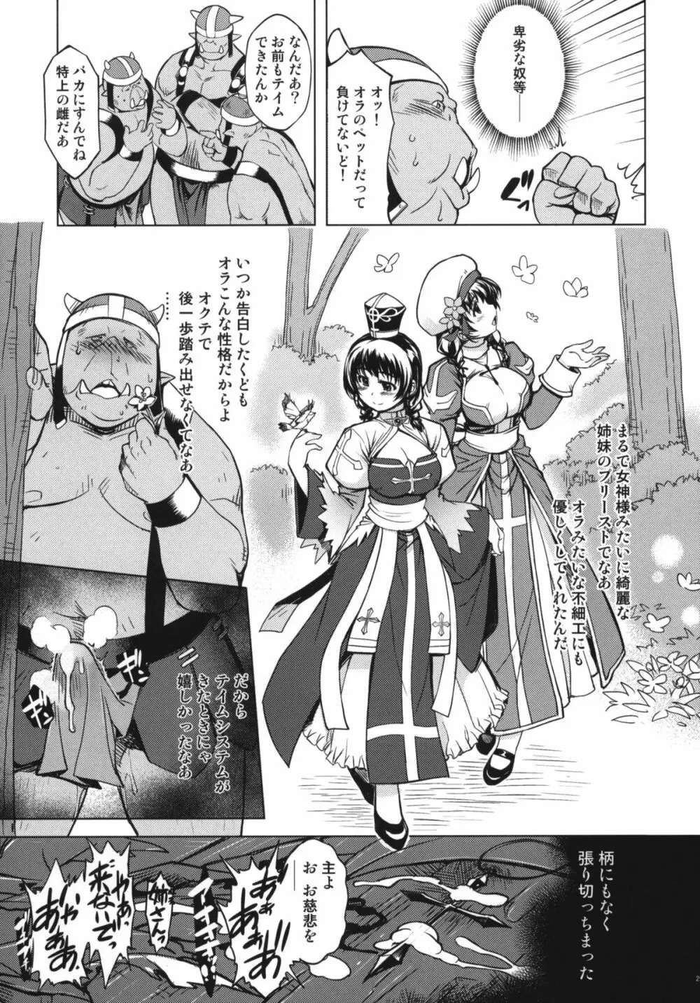 姫騎士テイム2 - page28