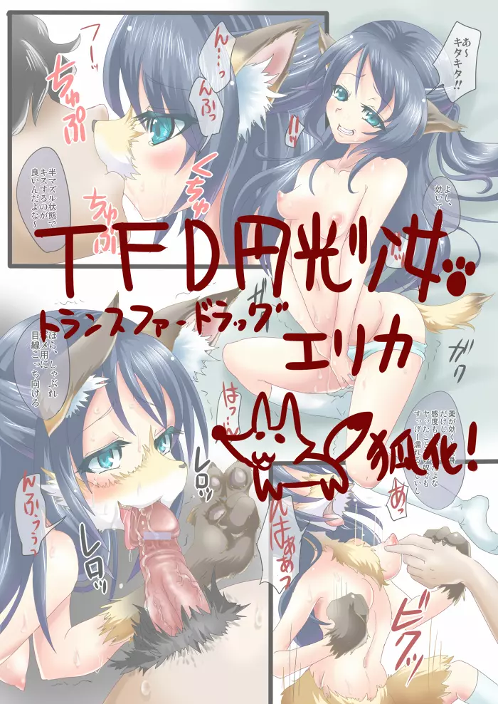 TFD円光少女エリカ