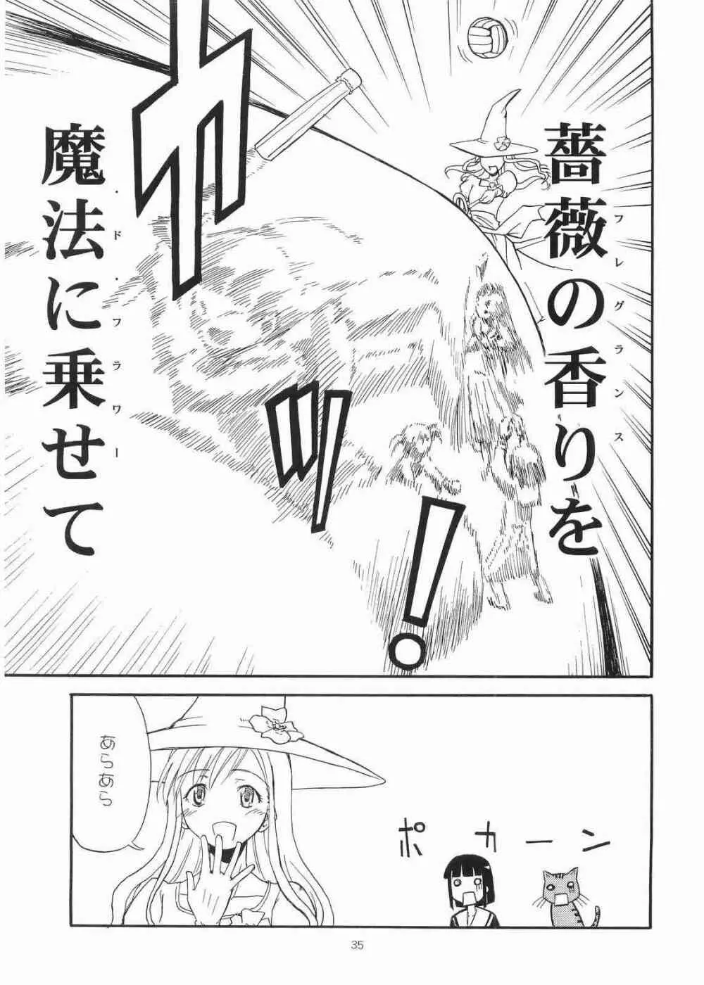 薔薇の香りを魔法に乗せて届くといいなあなたの心へ - page34