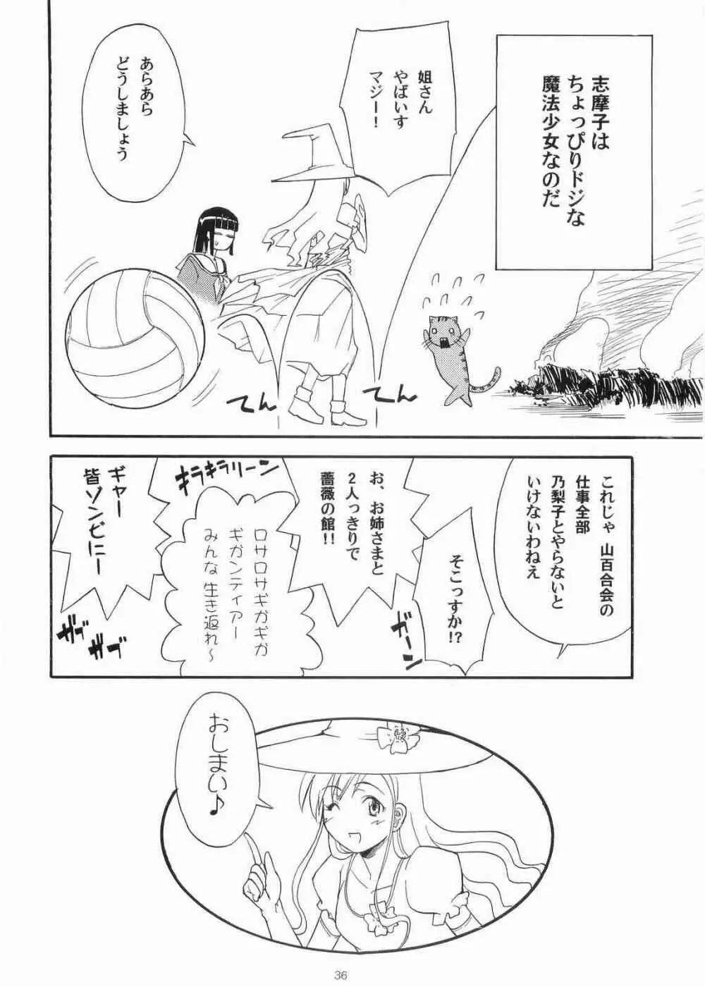 薔薇の香りを魔法に乗せて届くといいなあなたの心へ - page35