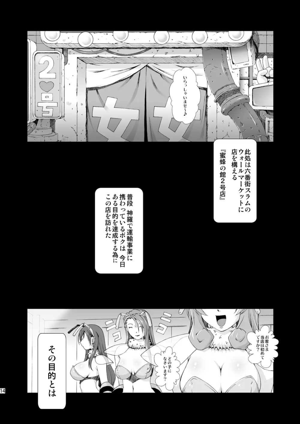 FF嬲 Reunion 02 - page14