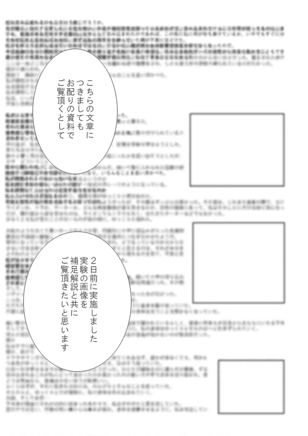 P045-02 ヴァニス・レポート - page21