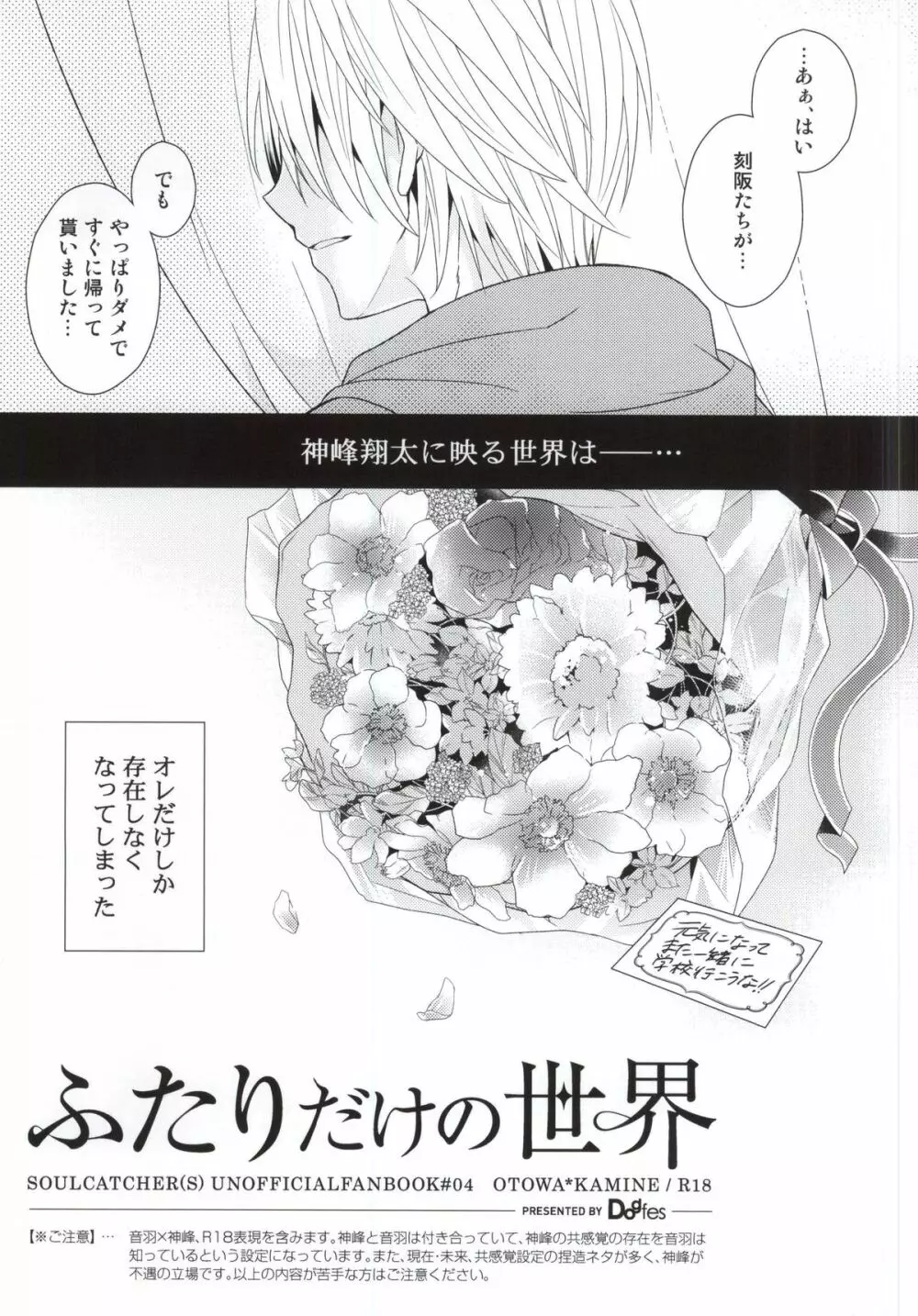 (HARUCC20) [Dogfes (sio)] ふたりだけの世界 (SOULCATCHER(腐)) - page4