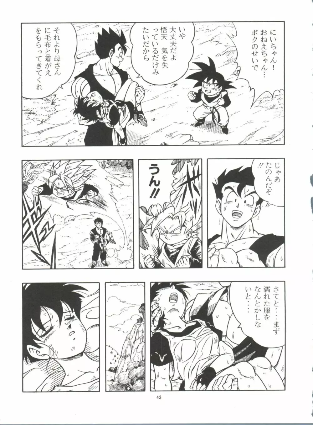 ドラゴンボールH 巻一・二 再版 - page43