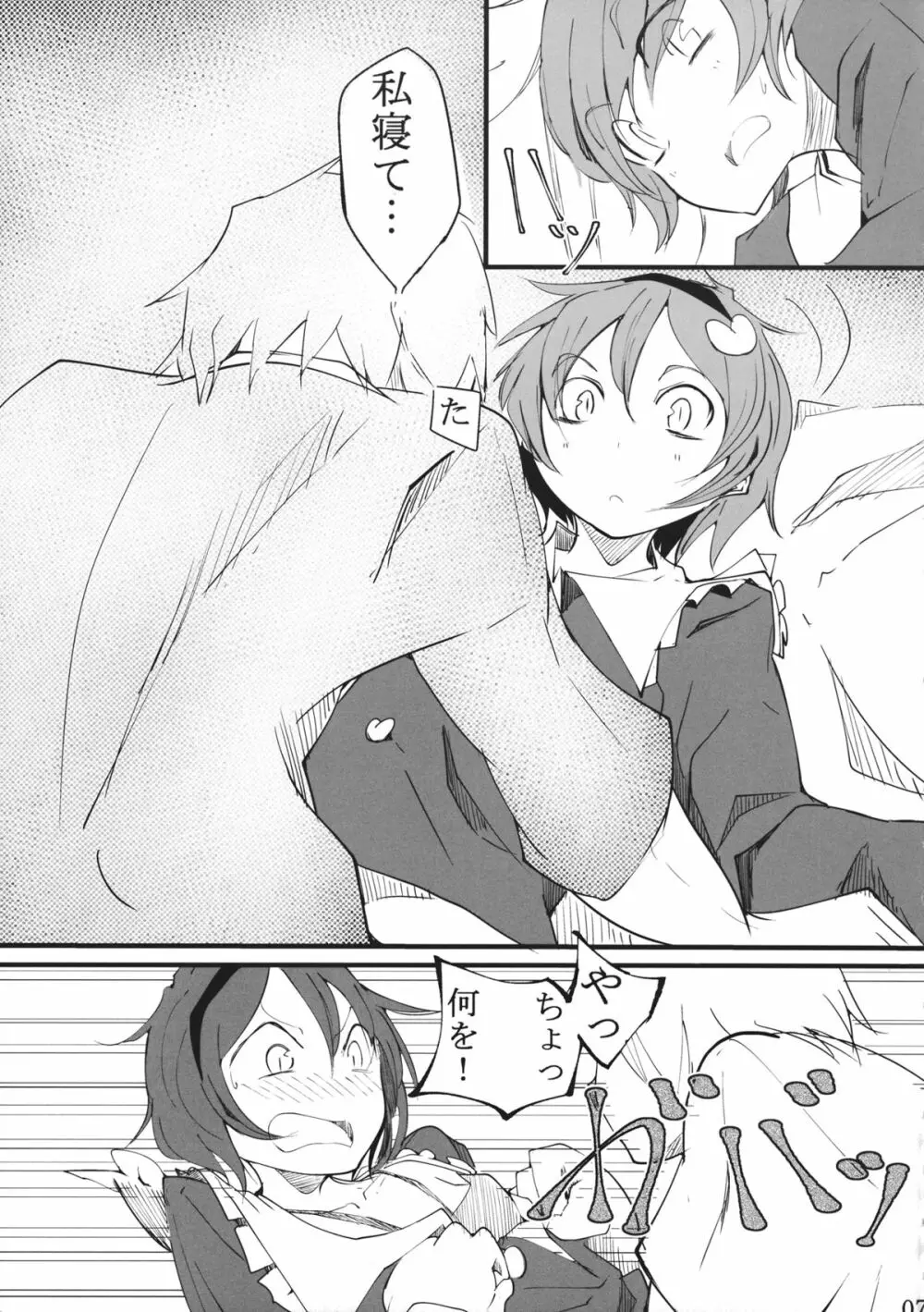 犬取り扱い注意 - page6