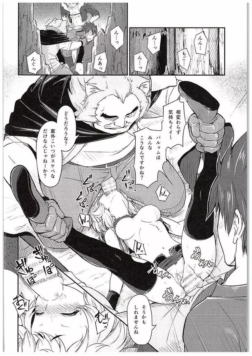 パルゥムの特別な使い方 - page15