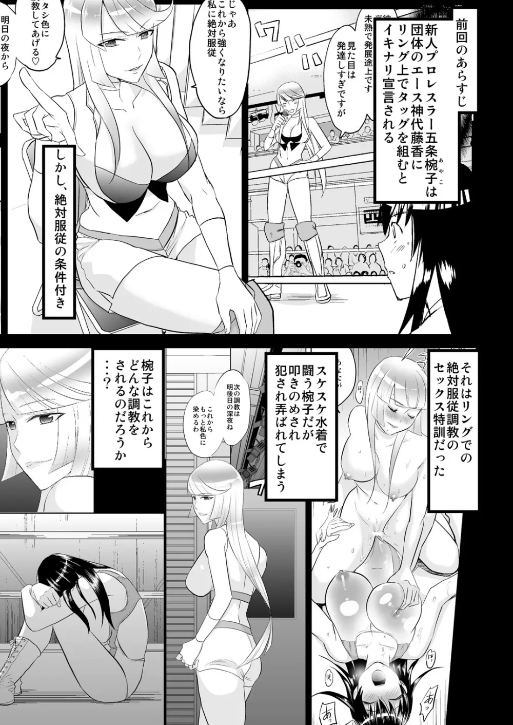 夜の調教キャットファイト2 - page2