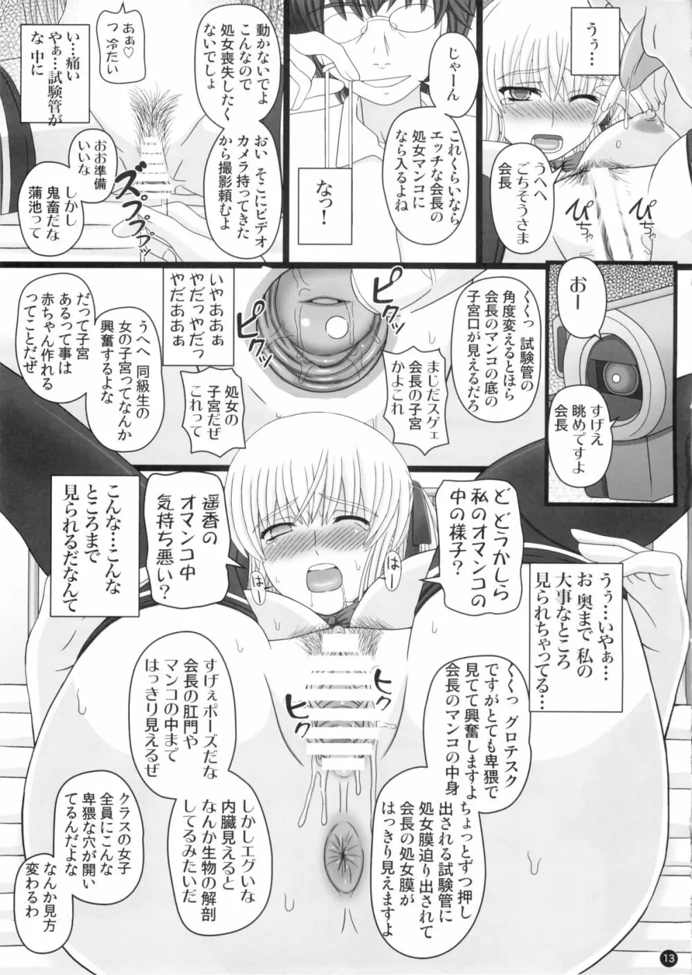 (C88) [幸せ共和国 (幸せのかたち)] かたしぶっ 0-2-15週 - page13