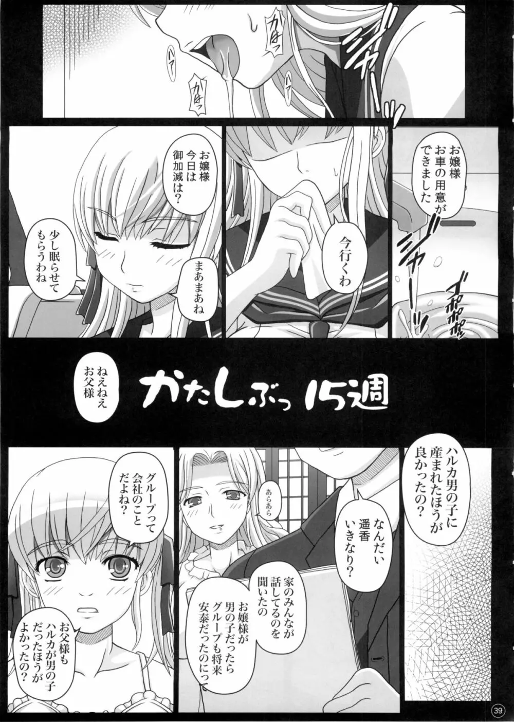 (C88) [幸せ共和国 (幸せのかたち)] かたしぶっ 0-2-15週 - page39