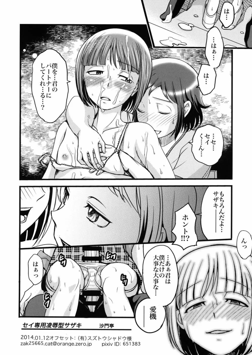 セイ専用陵辱型サザキ - page17