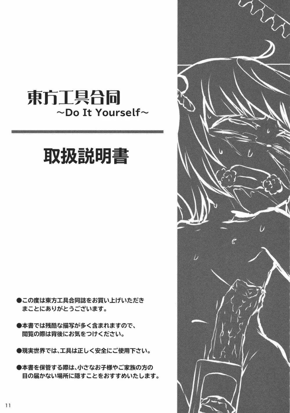 東方工具合同～Do It Yourself～ - page10