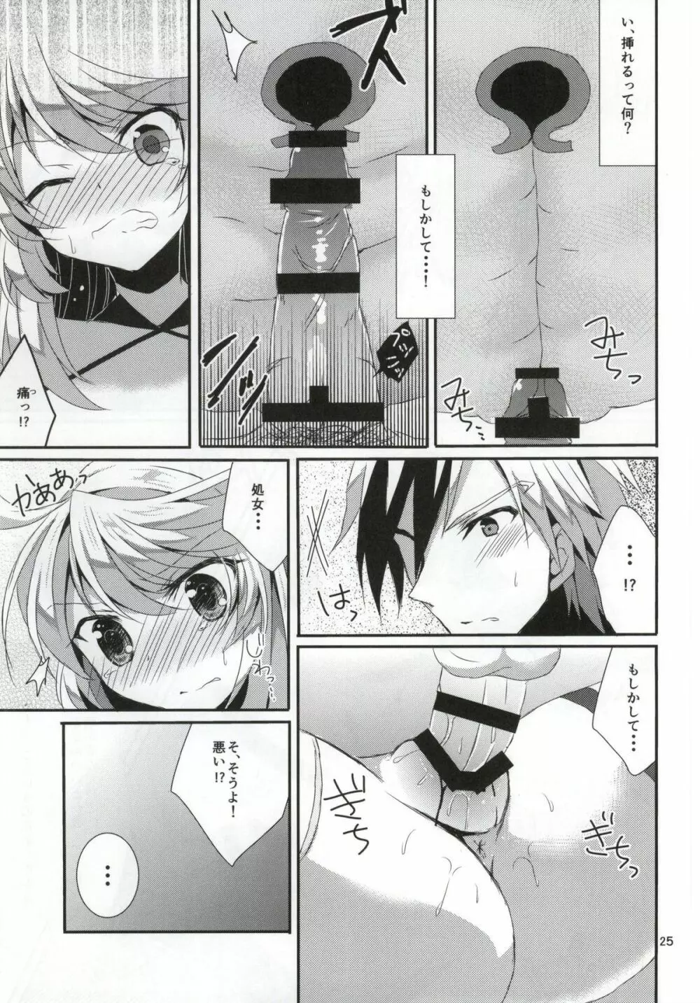 ルドミラスイートダイアリー - page24