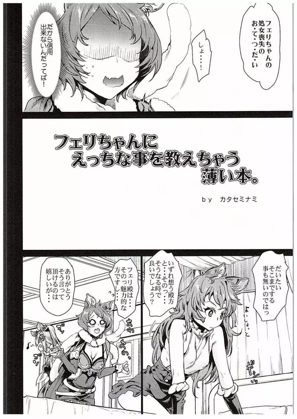 フェリちゃんにえっちなことを教えちゃう薄い本 - page5