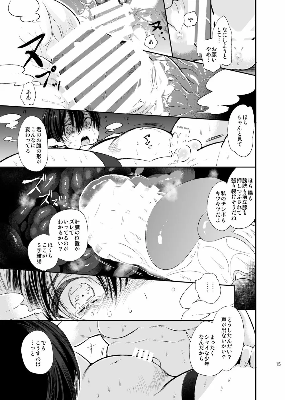 メス堕ち断面セックス - page14