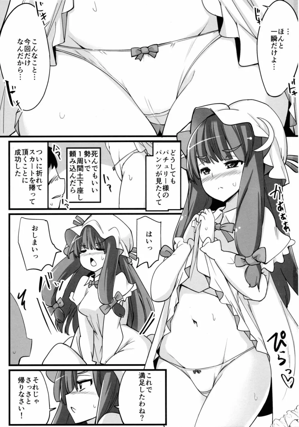 パチュリー様はお願いすればヤラせてくれる - page2