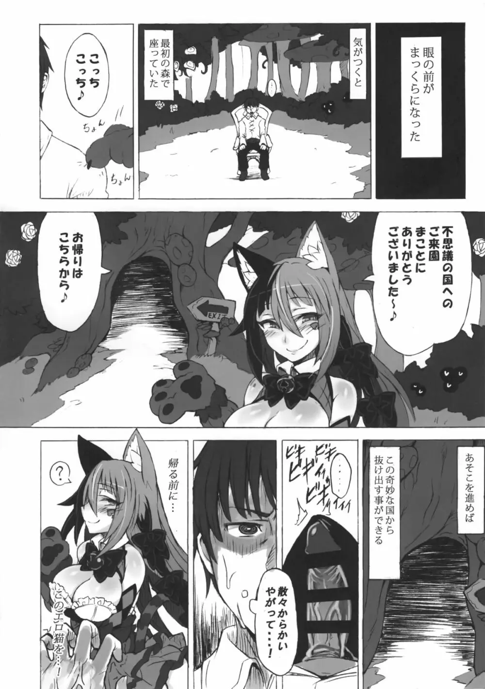 魔物娘図鑑・被害報告 ～チェシャ猫のおいでませ不思議の国～ - page19