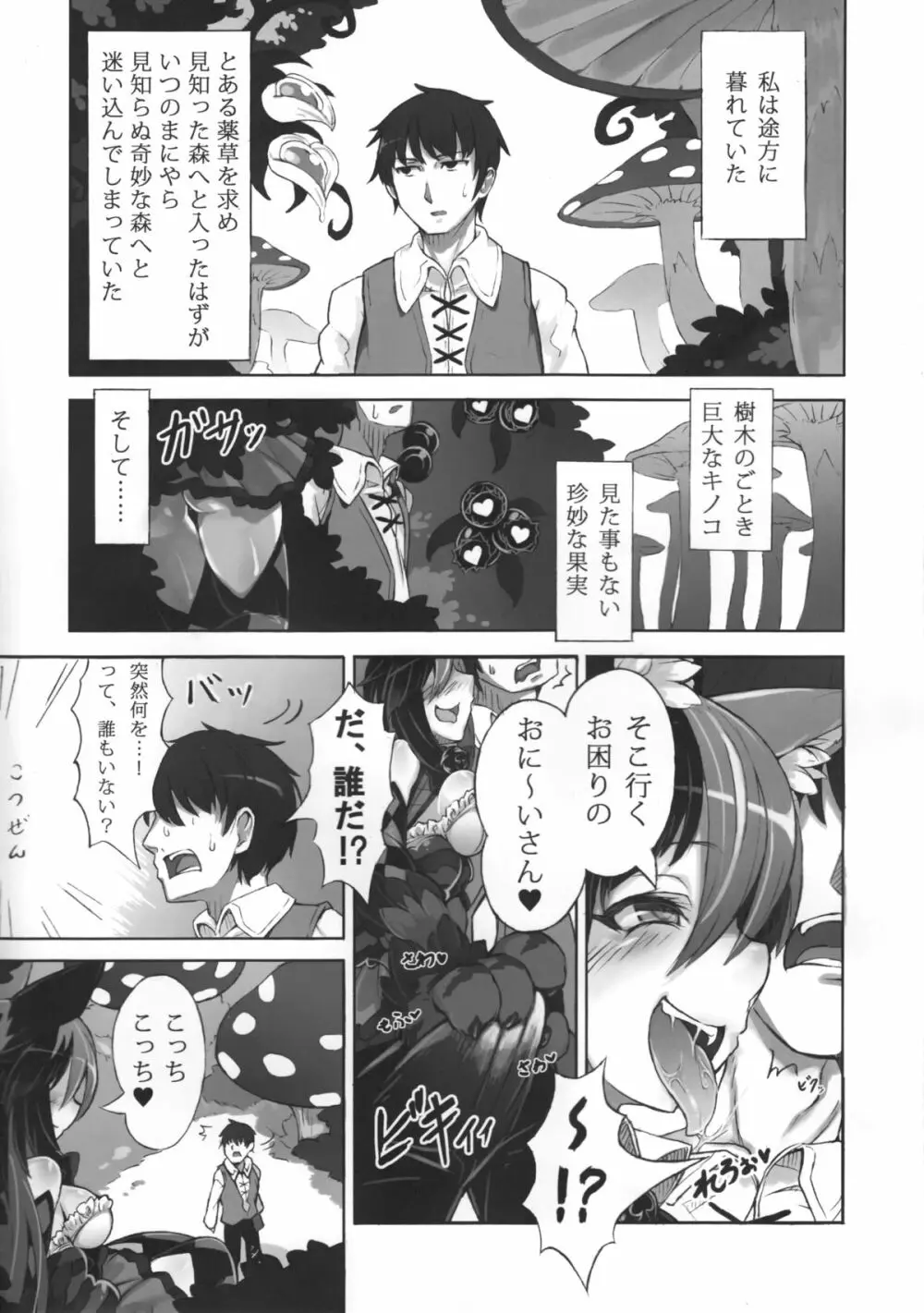 魔物娘図鑑・被害報告 ～チェシャ猫のおいでませ不思議の国～ - page4