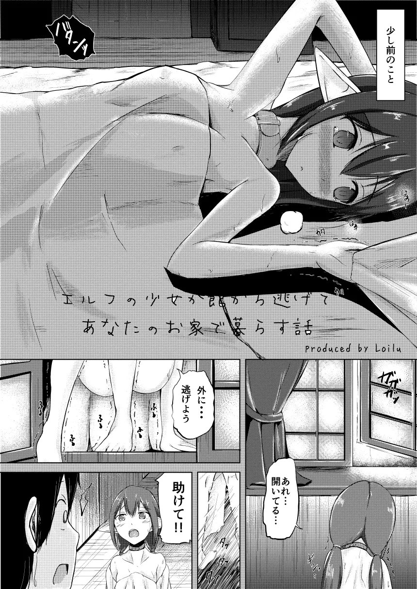 僕とエルフの新性活 - page4