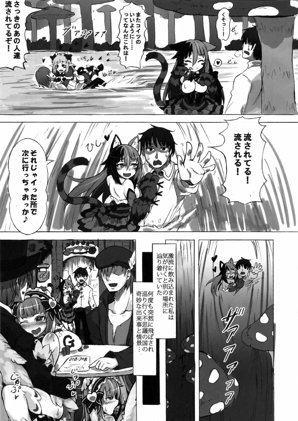 魔物娘図鑑・被害報告 ～チェシャ猫のおいでませ不思議の国～ - page13