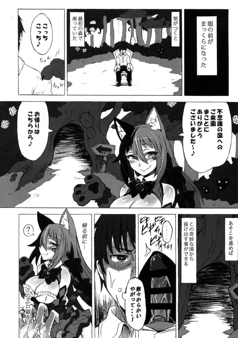 魔物娘図鑑・被害報告 ～チェシャ猫のおいでませ不思議の国～ - page18