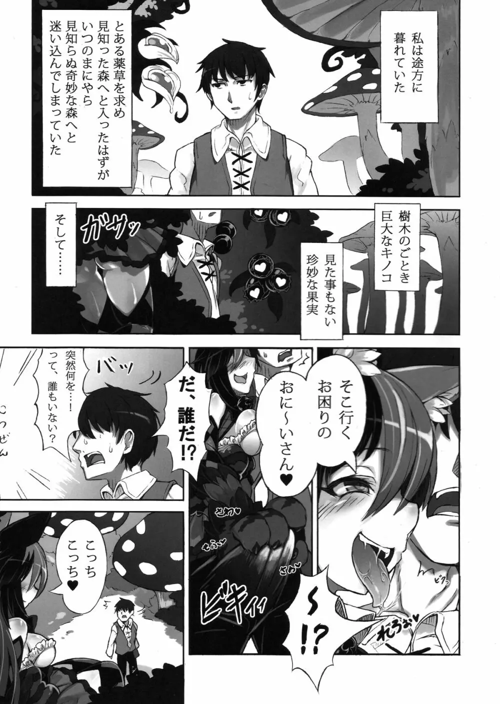 魔物娘図鑑・被害報告 ～チェシャ猫のおいでませ不思議の国～ - page3